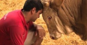 Toro sale de la cárcel después de haber estado encarcelado toda su vida. Su reacción es muy conmovedora