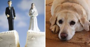 Hombre cancela boda por negligencia de su prometida: «Ella es una negligente»